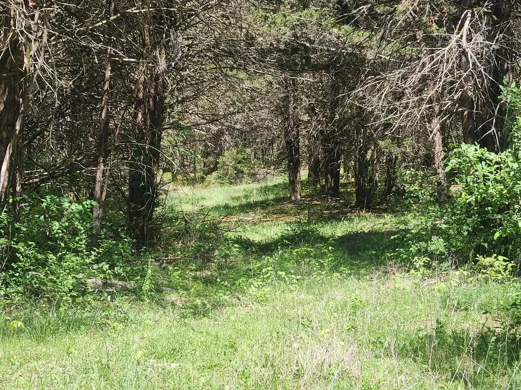 200 Bobtown Road Cynthiana KY 41031