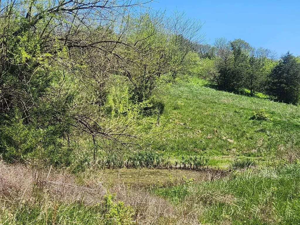 200 Bobtown Road Cynthiana KY 41031