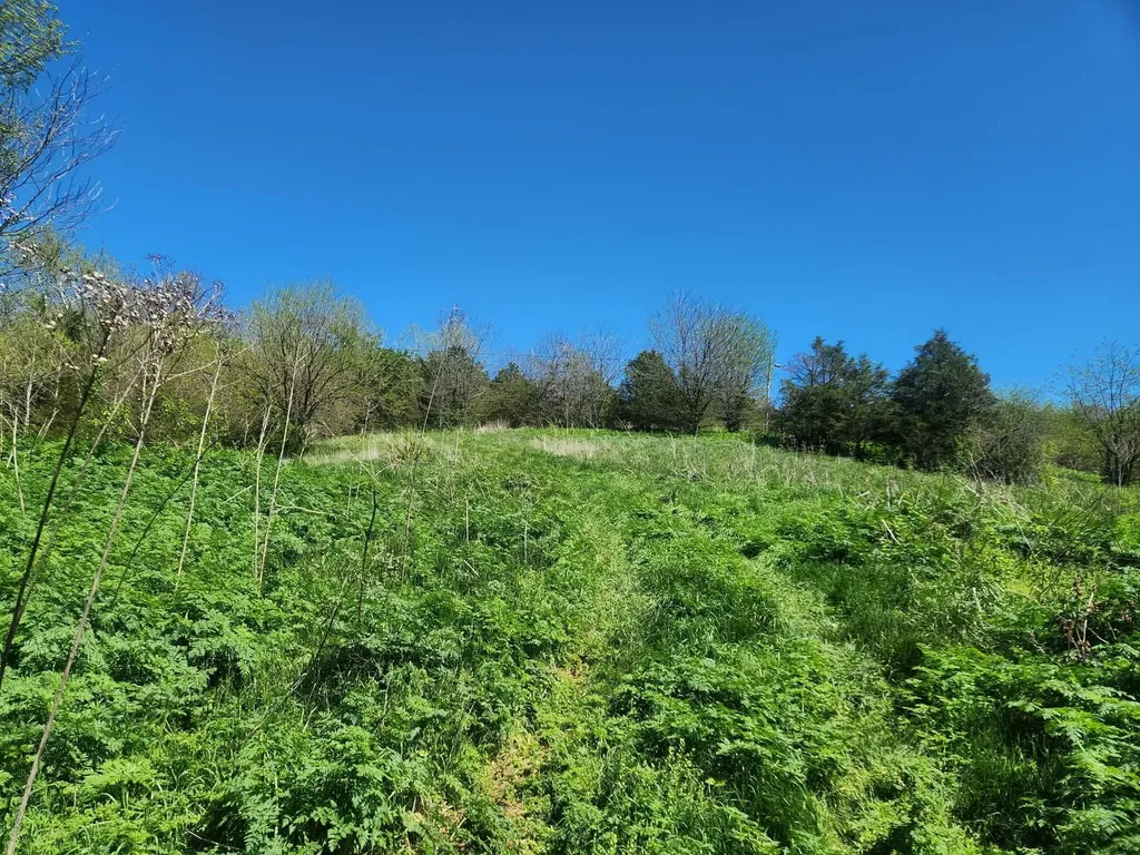 200 Bobtown Road Cynthiana KY 41031