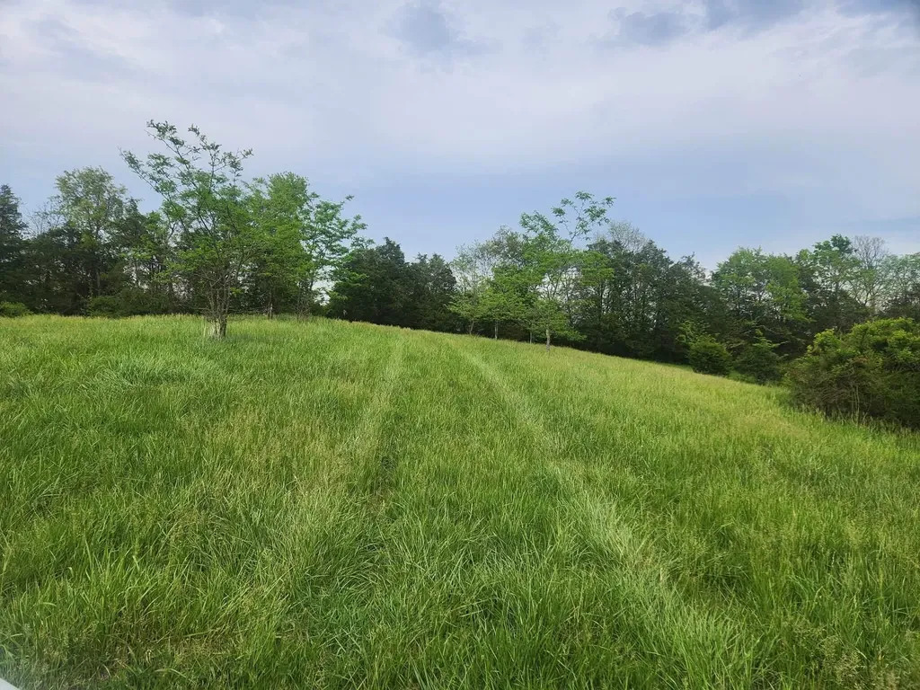 200 Bobtown Road Cynthiana KY 41031