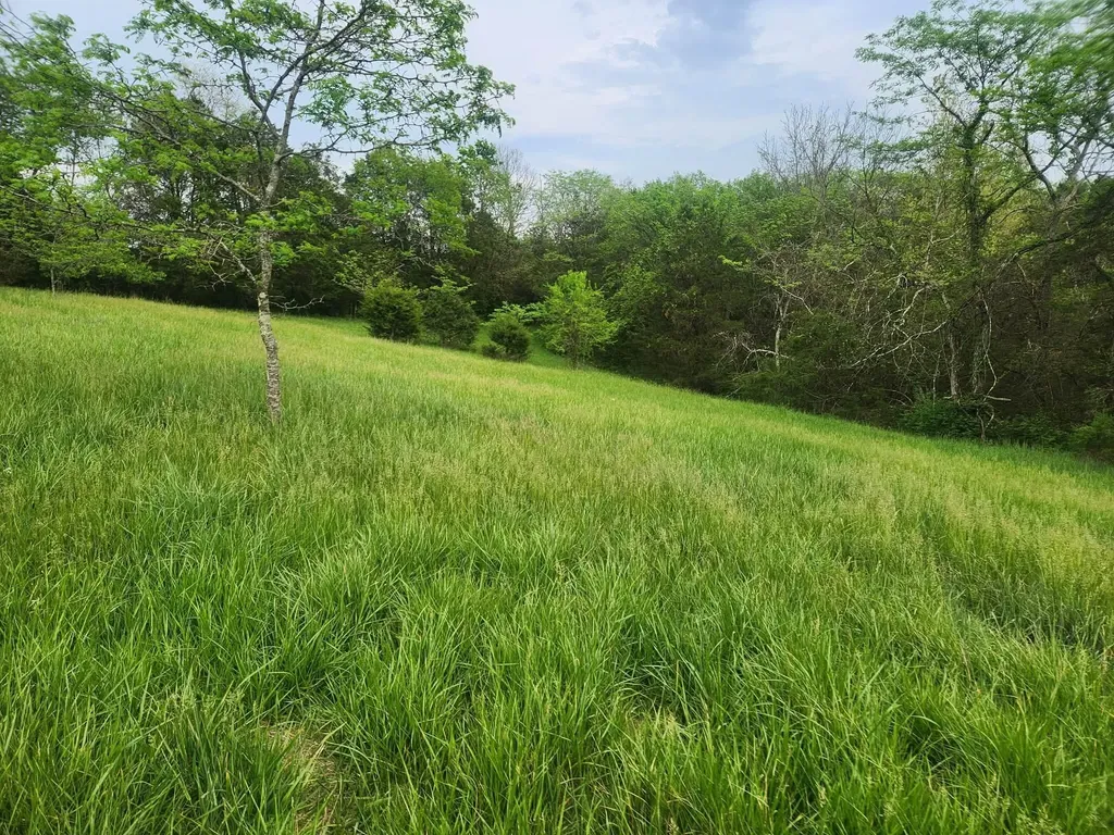 200 Bobtown Road Cynthiana KY 41031