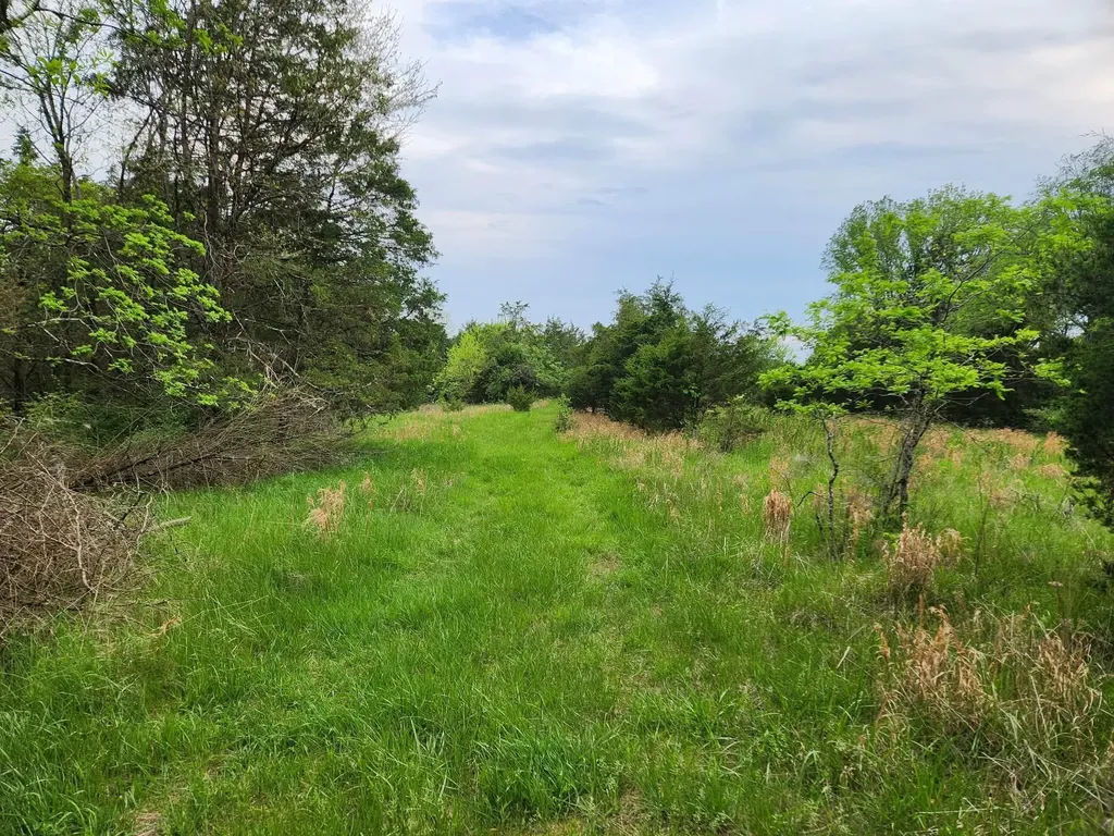 200 Bobtown Road Cynthiana KY 41031