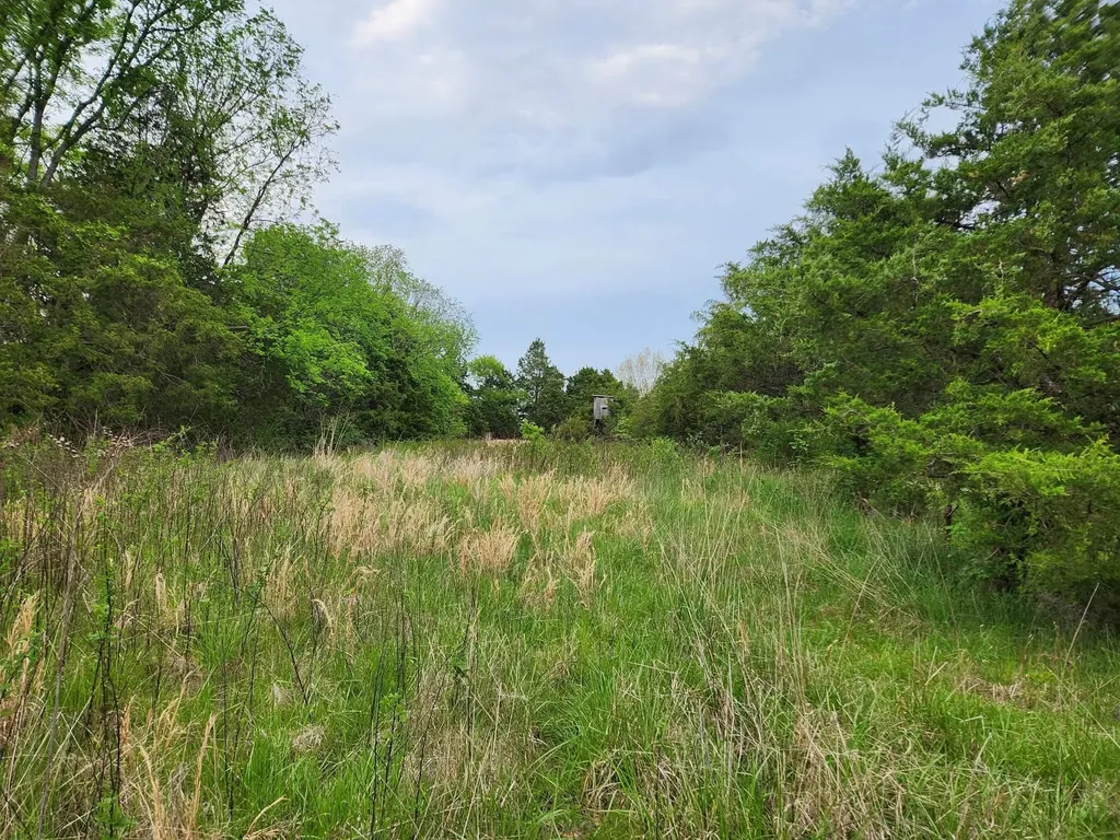 200 Bobtown Road Cynthiana KY 41031