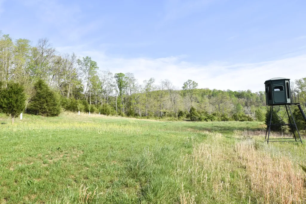 0 Pool Branch Vanceburg KY 41179