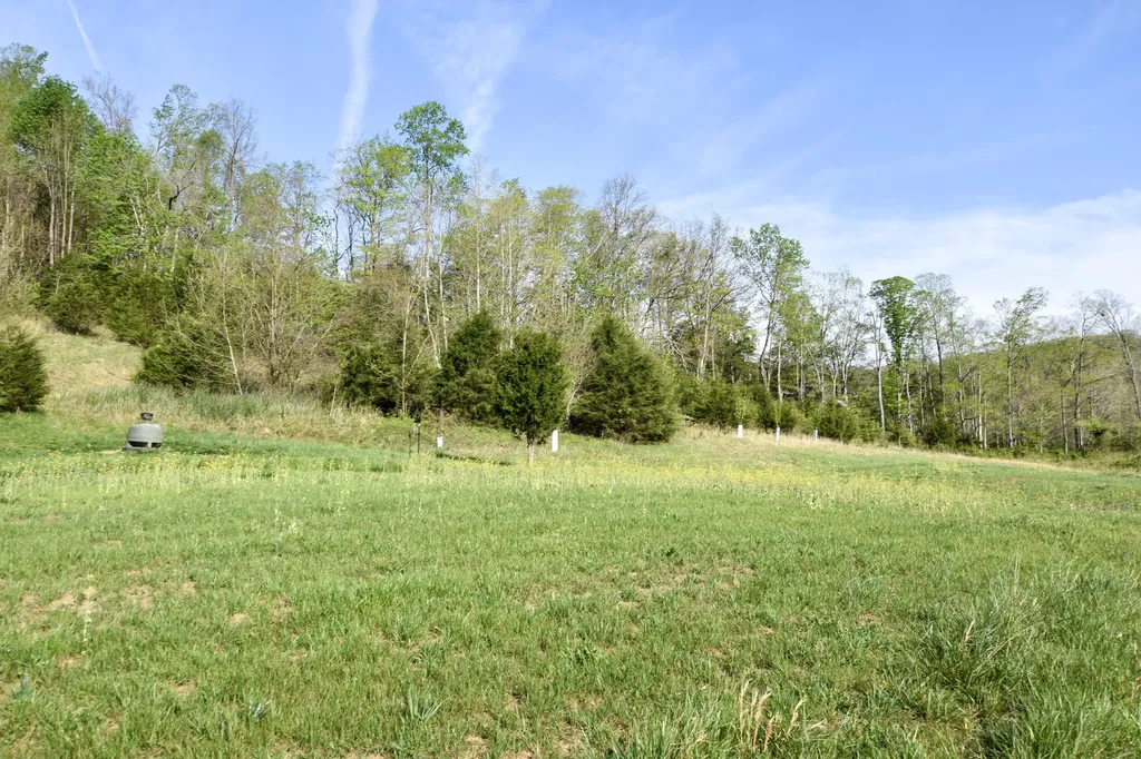 0 Pool Branch Vanceburg KY 41179
