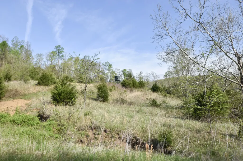 0 Pool Branch Vanceburg KY 41179