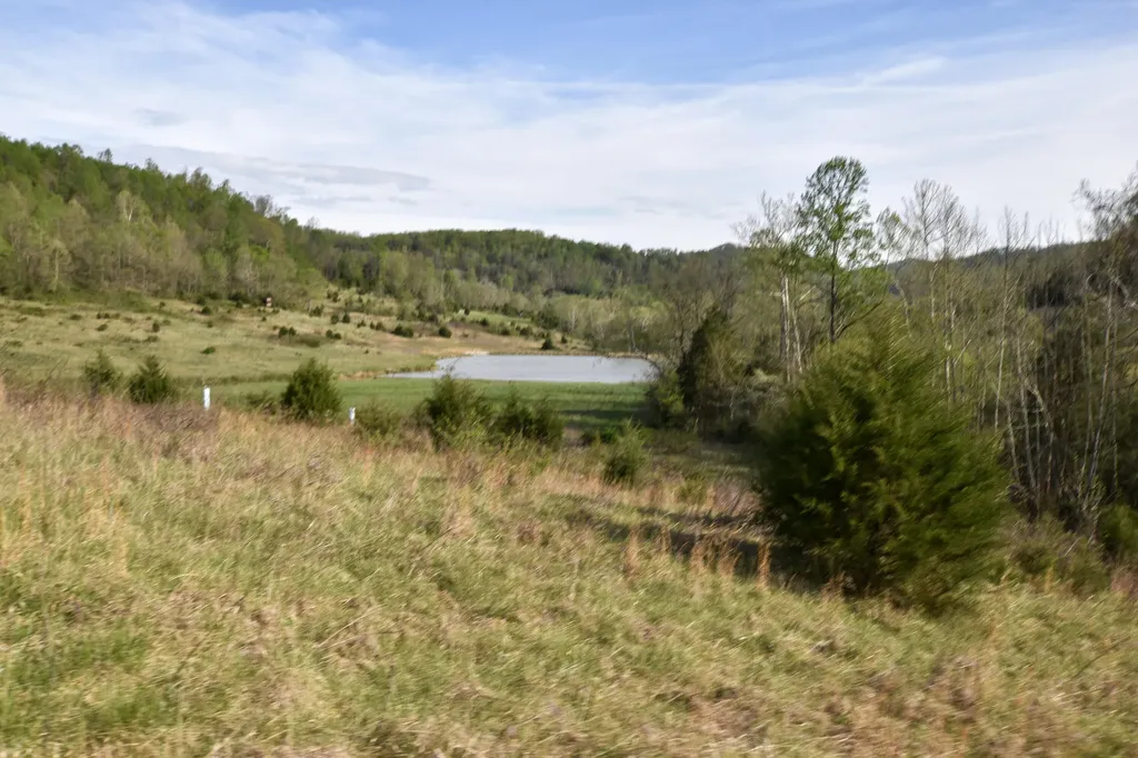 0 Pool Branch Vanceburg KY 41179