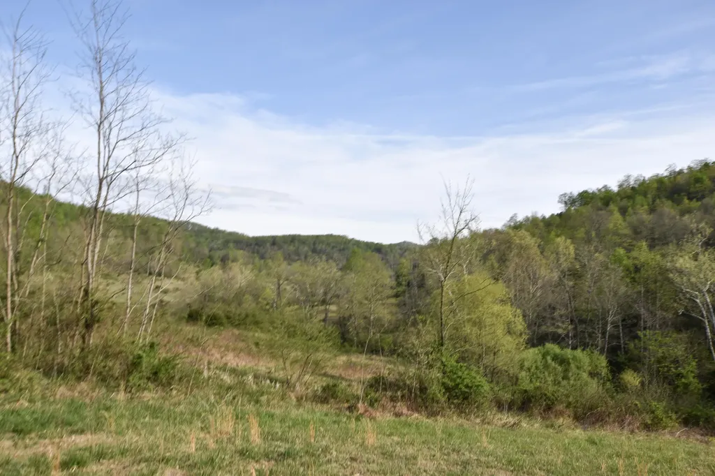 0 Pool Branch Vanceburg KY 41179