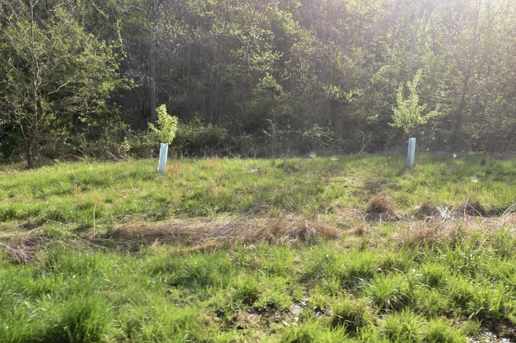 0 Pool Branch Vanceburg KY 41179