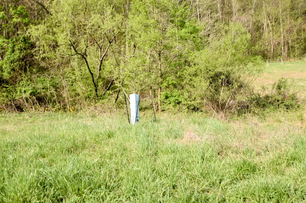 0 Pool Branch Vanceburg KY 41179