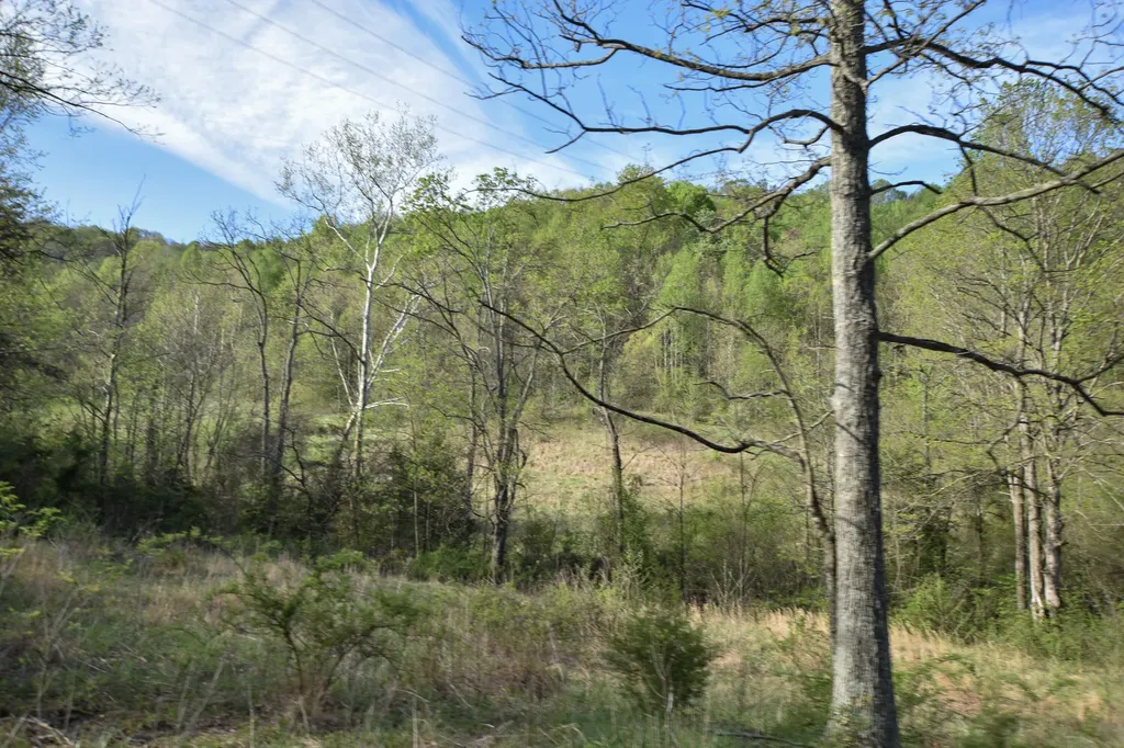 0 Pool Branch Vanceburg KY 41179