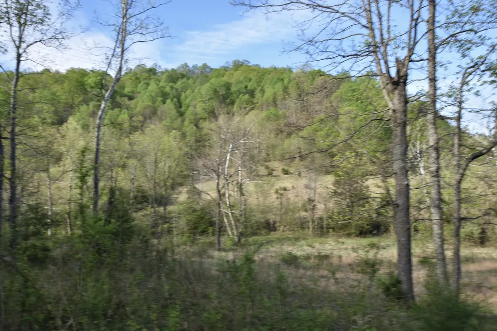 0 Pool Branch Vanceburg KY 41179