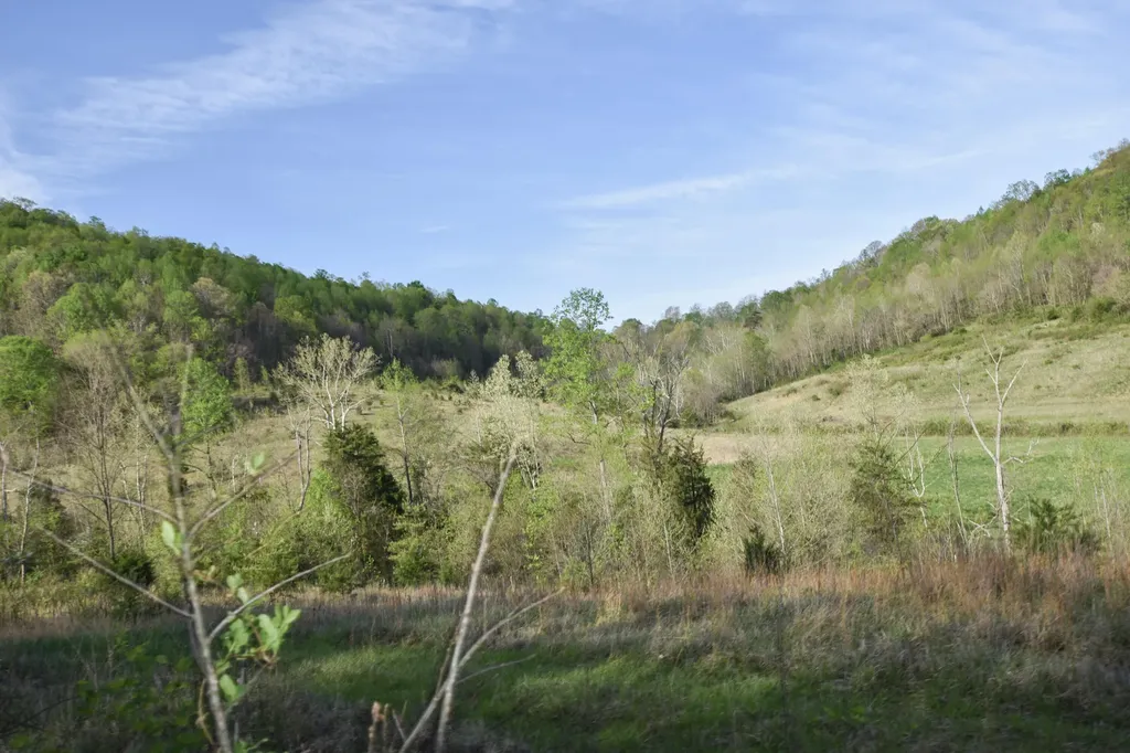0 Pool Branch Vanceburg KY 41179