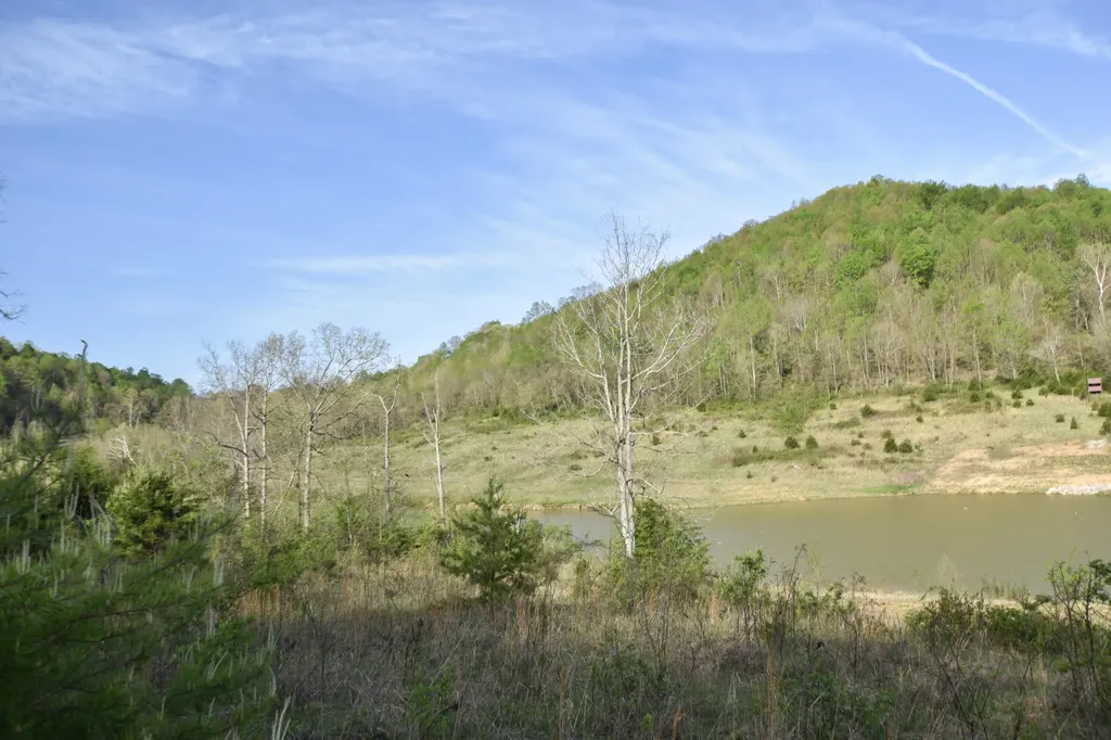 0 Pool Branch Vanceburg KY 41179
