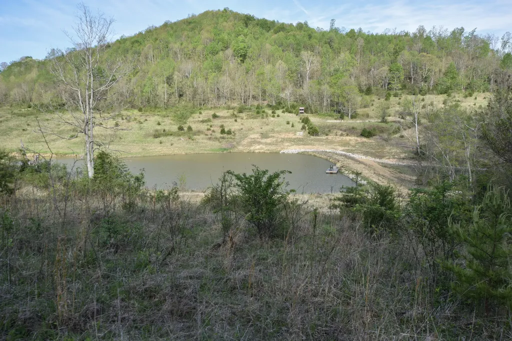 0 Pool Branch Vanceburg KY 41179
