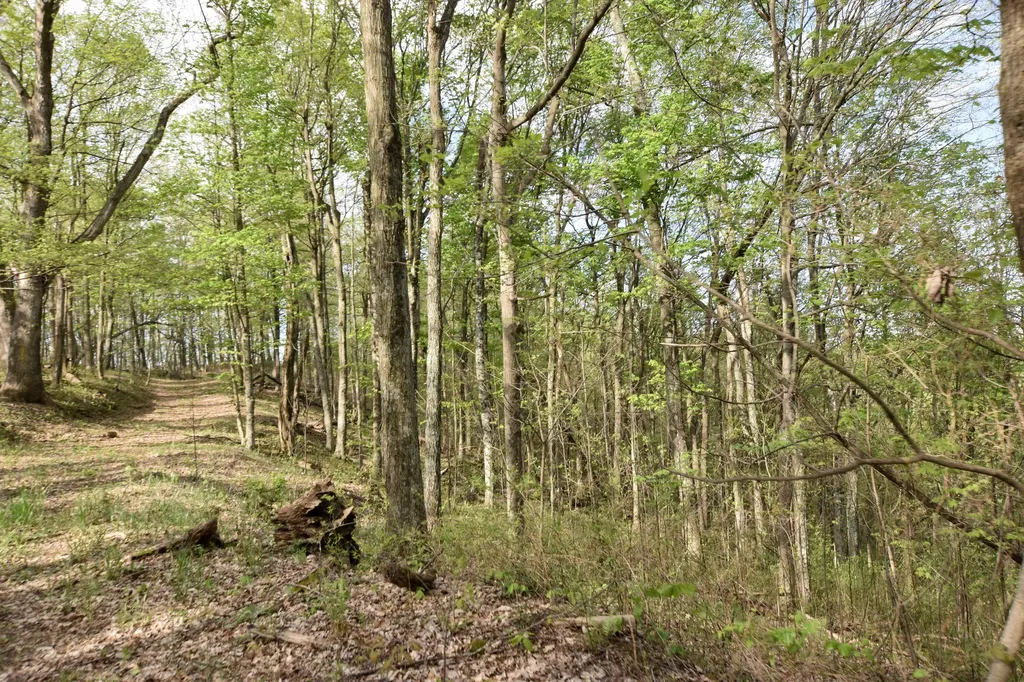 0 Pool Branch Vanceburg KY 41179