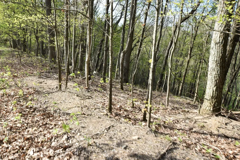 0 Pool Branch Vanceburg KY 41179