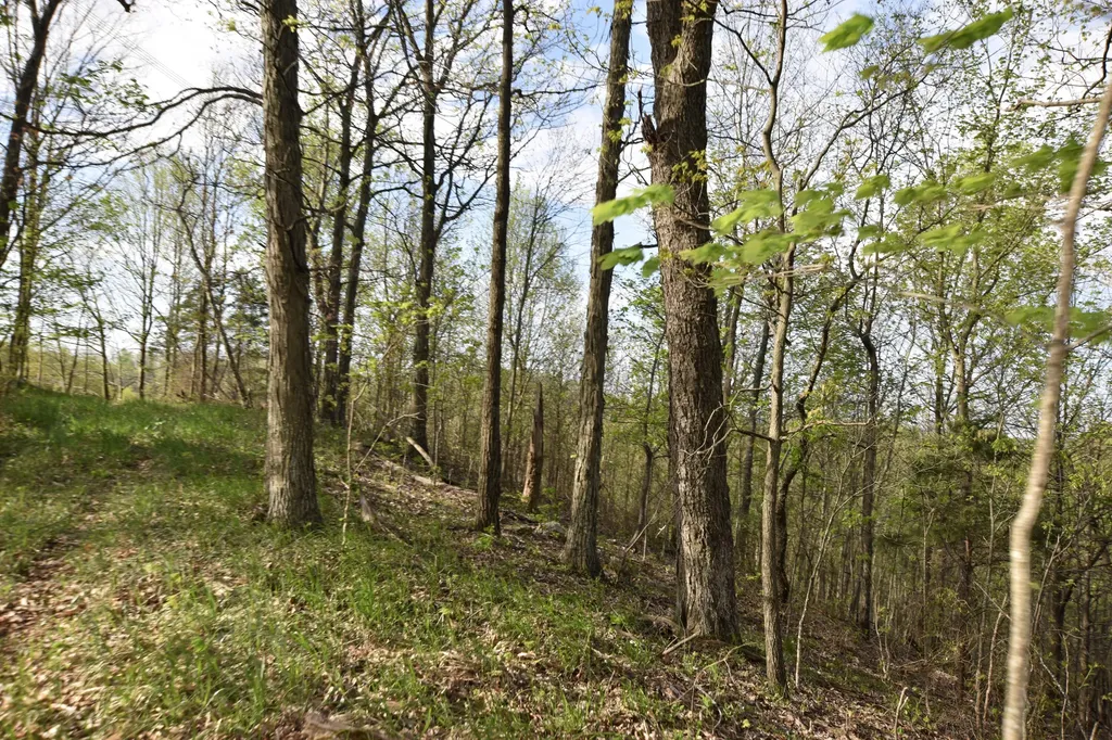 0 Pool Branch Vanceburg KY 41179