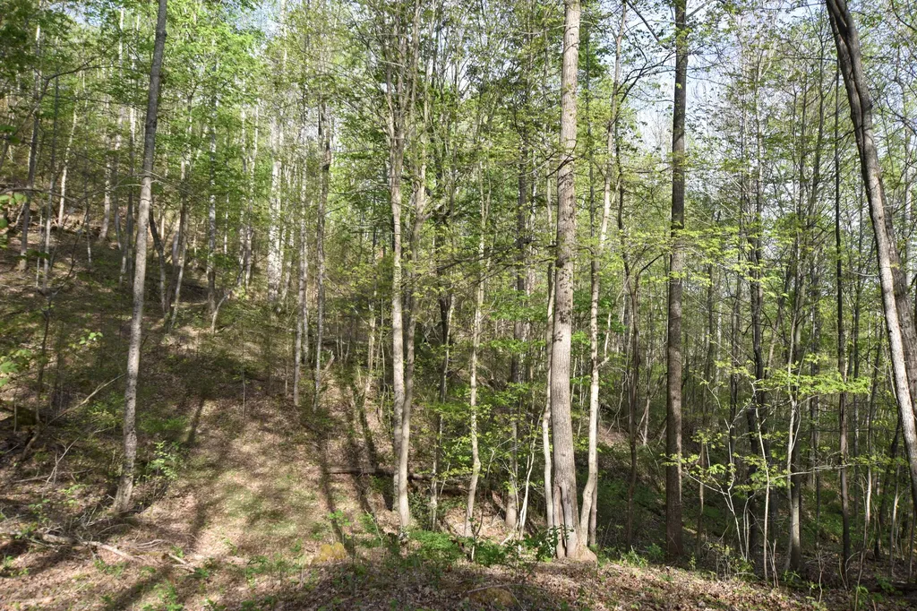 0 Pool Branch Vanceburg KY 41179