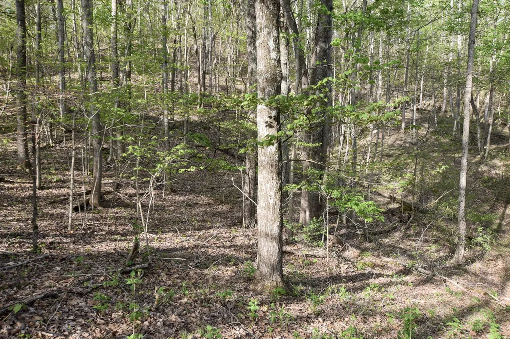 0 Pool Branch Vanceburg KY 41179
