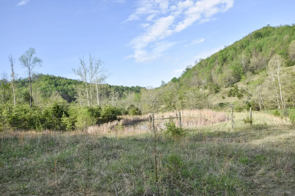 0 Pool Branch Vanceburg KY 41179