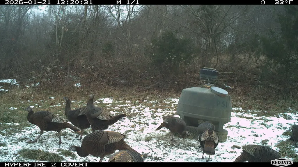 0 Pool Branch Vanceburg KY 41179