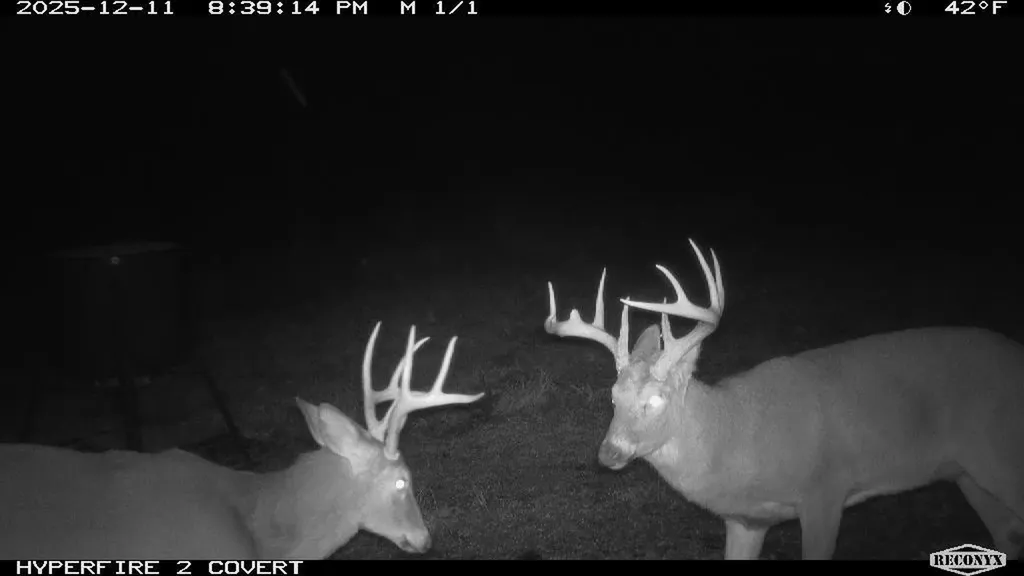0 Pool Branch Vanceburg KY 41179