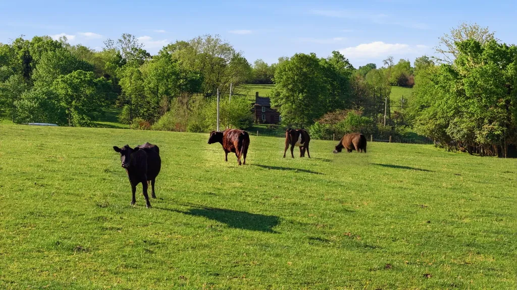 2-A Harrodsburg Road Wilmore KY 40390