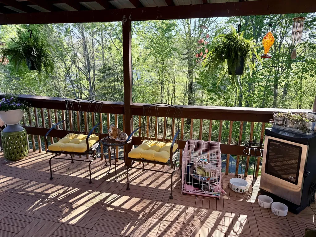 208 Carnation Drive Corbin KY 40701
