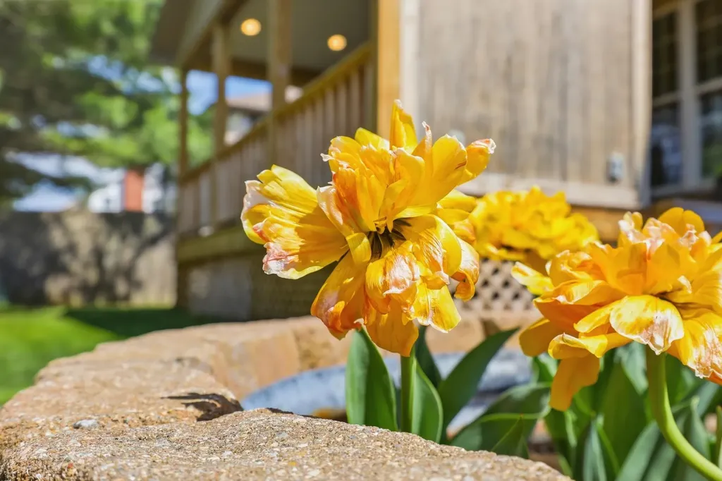 129 Pheasant Run Nicholasville KY 40356