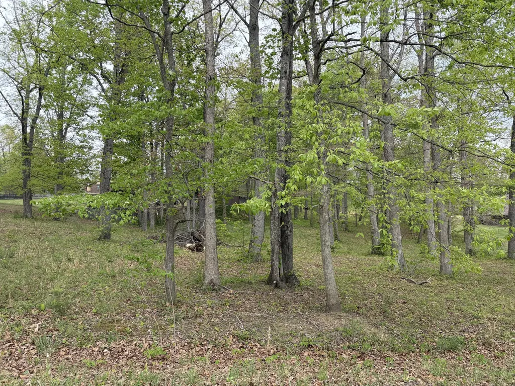Lots 16 & 17 Waterworks Road London KY 40741