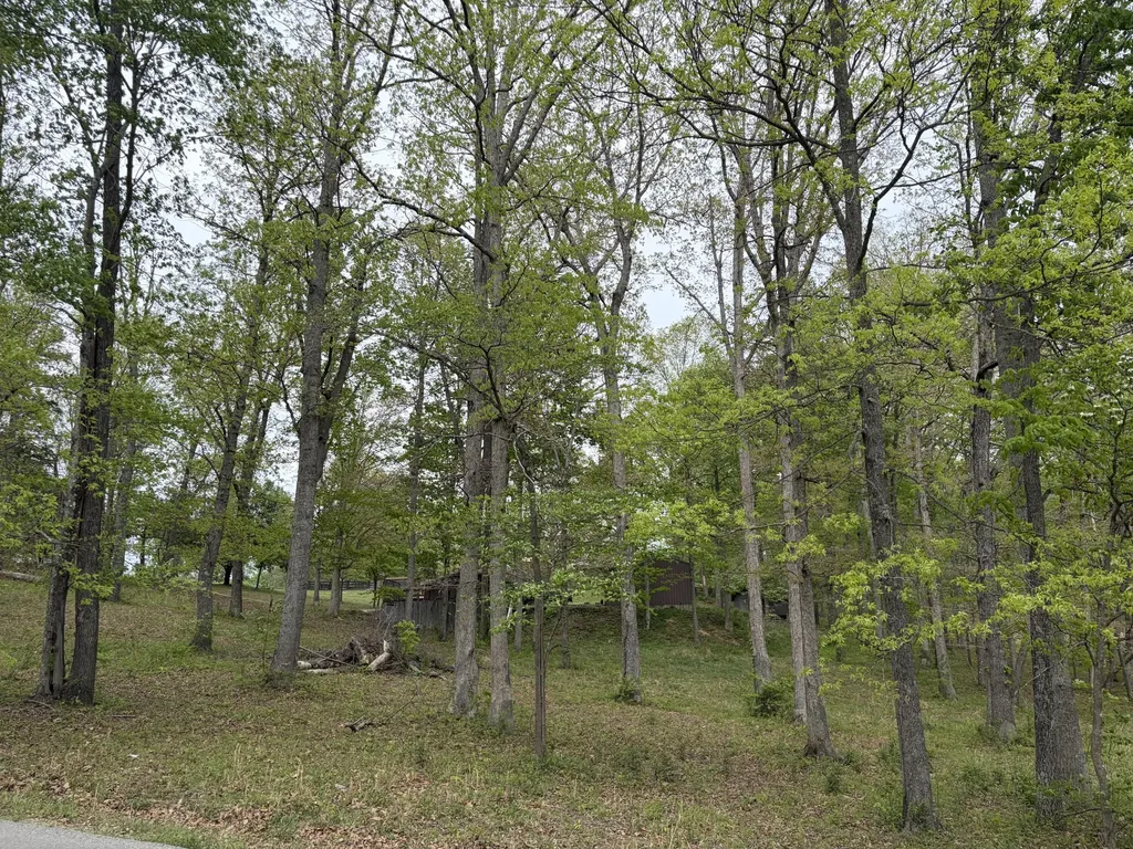 Lots 16 & 17 Waterworks Road London KY 40741