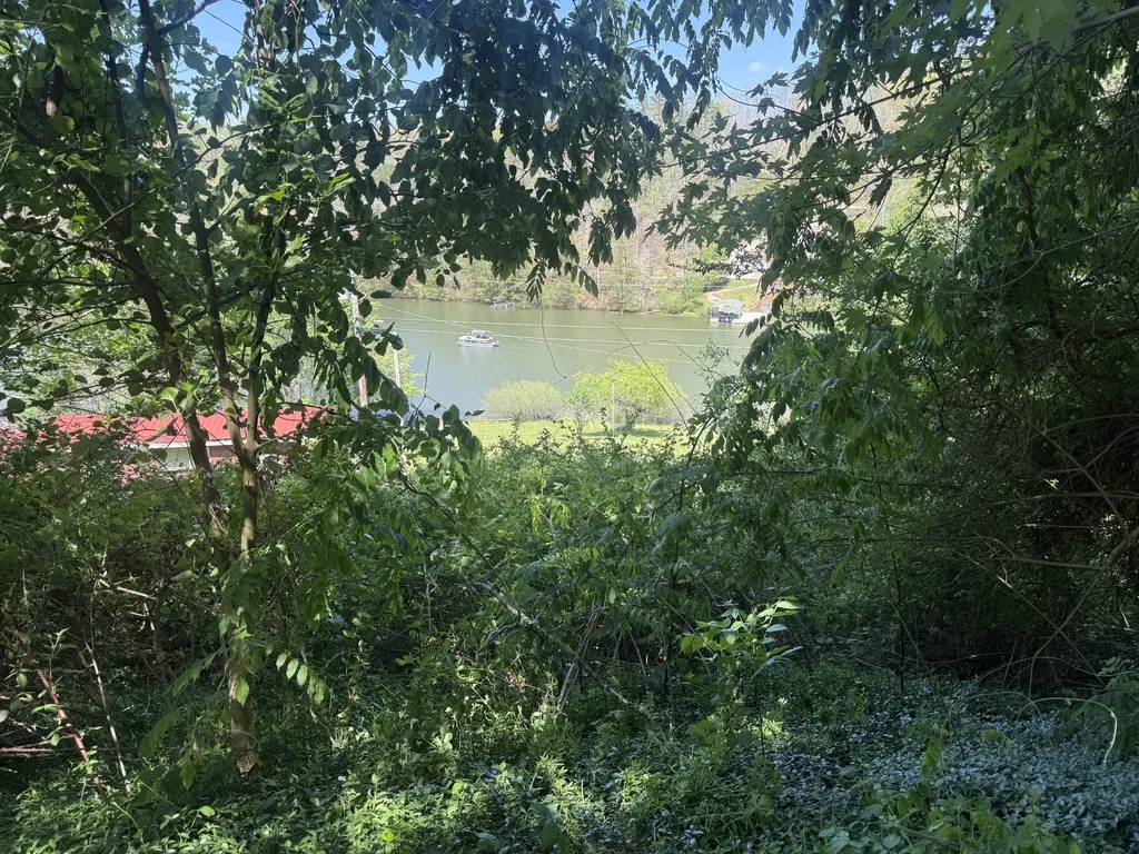713 Left Fork Fishermans Cove Road London KY 40741