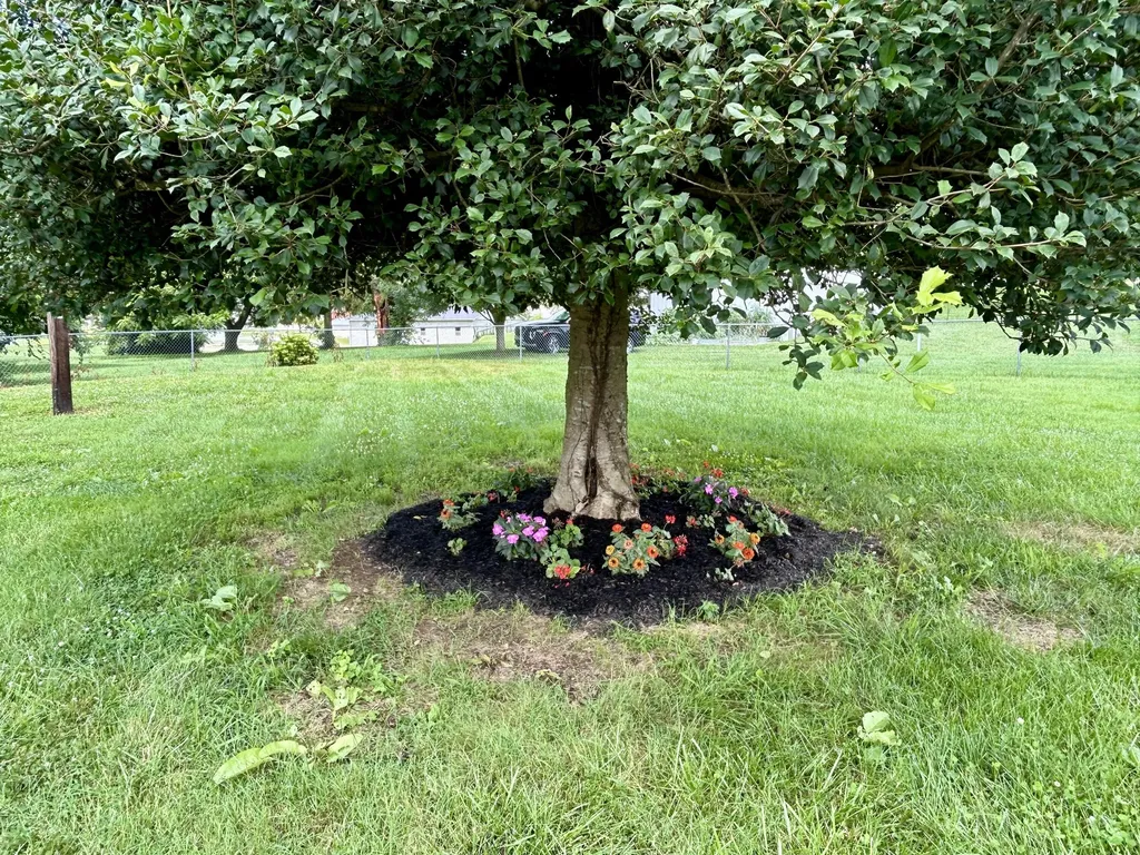 57 Country Hill Drive Somerset KY 42503