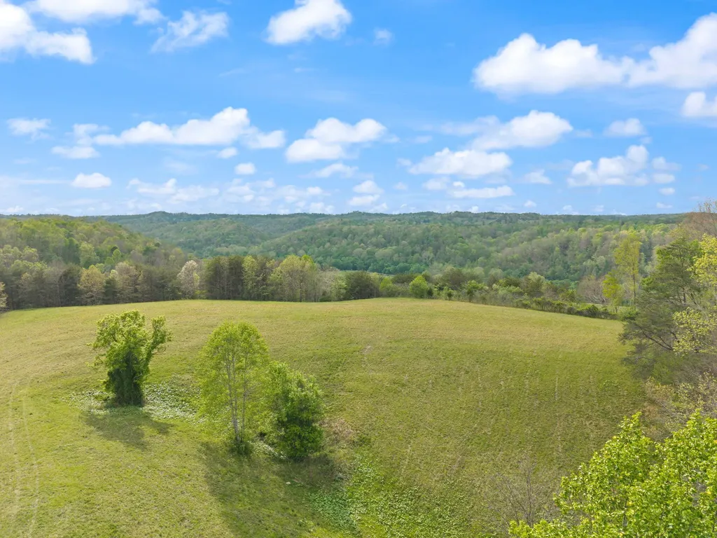 371 Big Branch Road Beattyville KY 41311