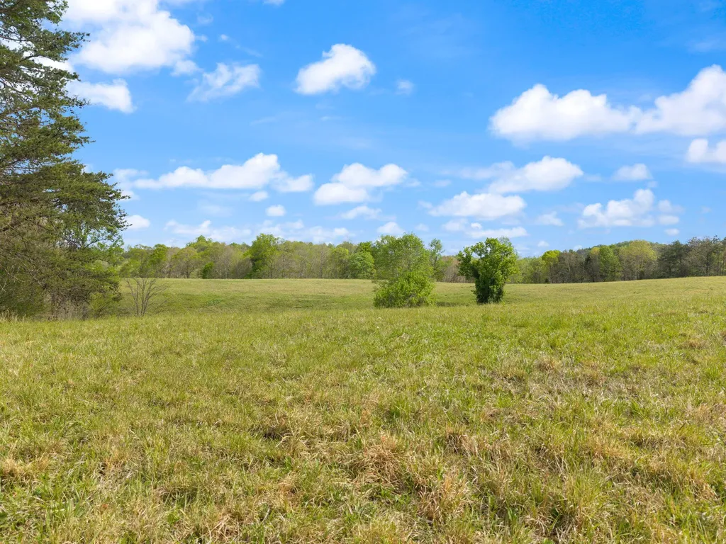 371 Big Branch Road Beattyville KY 41311