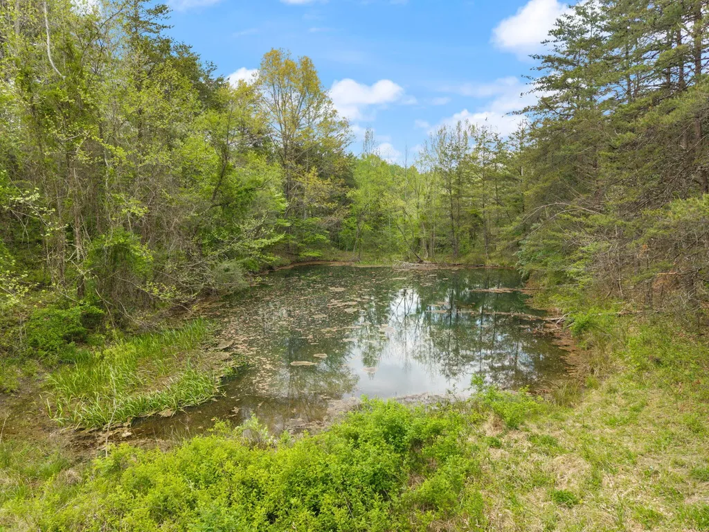 371 Big Branch Road Beattyville KY 41311