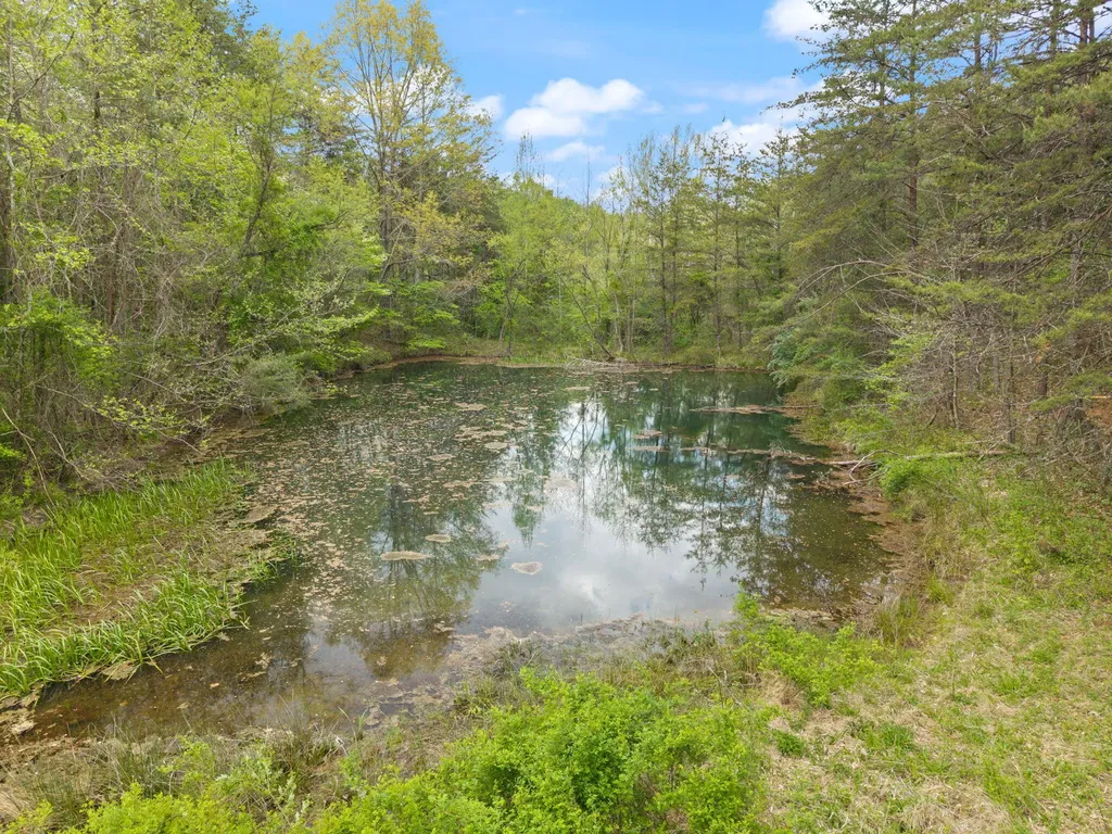 371 Big Branch Road Beattyville KY 41311