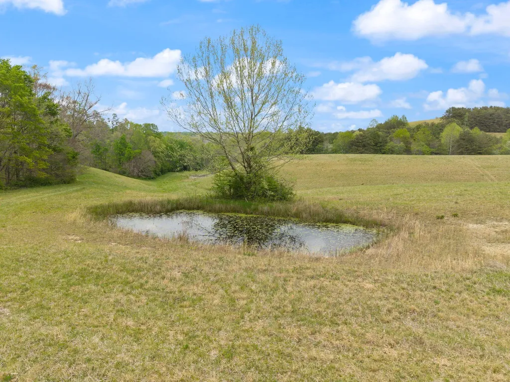 371 Big Branch Road Beattyville KY 41311