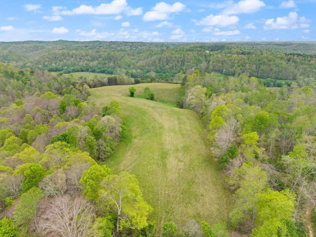 371 Big Branch Road Beattyville KY 41311