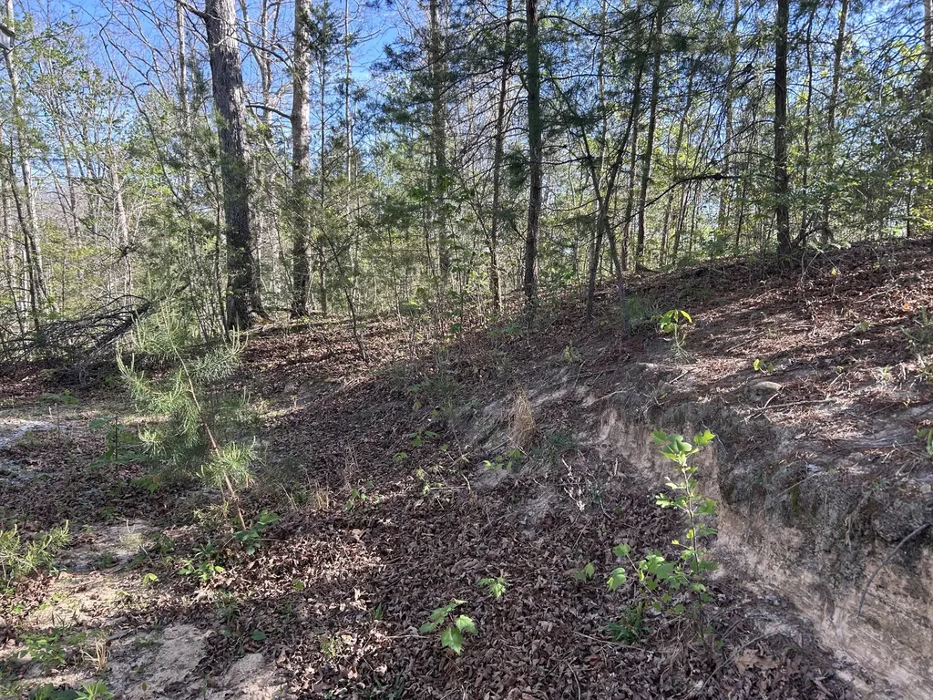 0000 Hawk Ridge Road London KY 40741