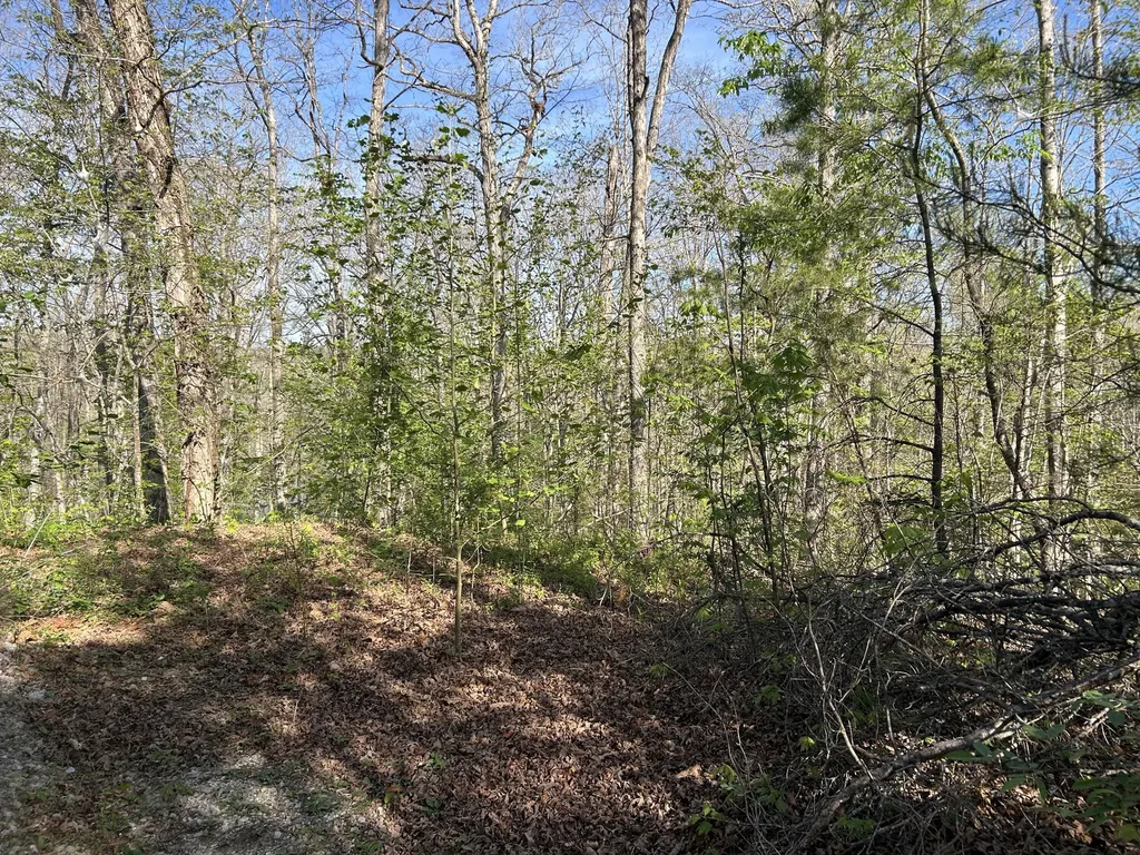 0000 Hawk Ridge Road London KY 40741