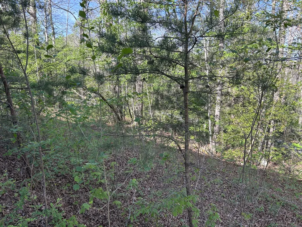 0000 Hawk Ridge Road London KY 40741
