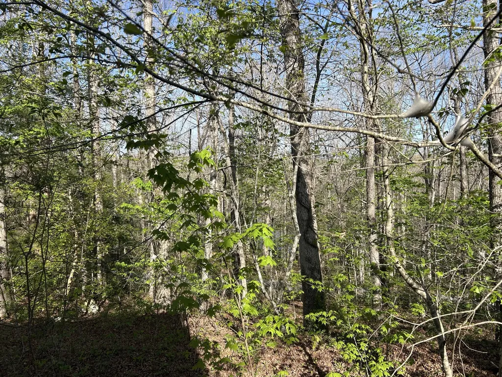 0000 Hawk Ridge Road London KY 40741