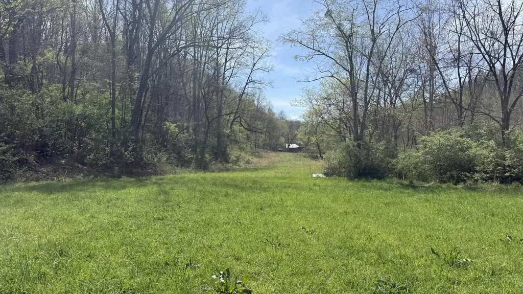 3230 Scaffold Cane Road Berea KY 40403