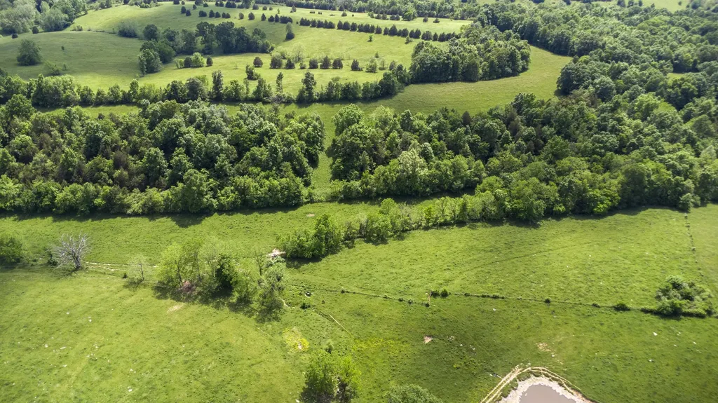 850 W Gardner Road Cynthiana KY 41031