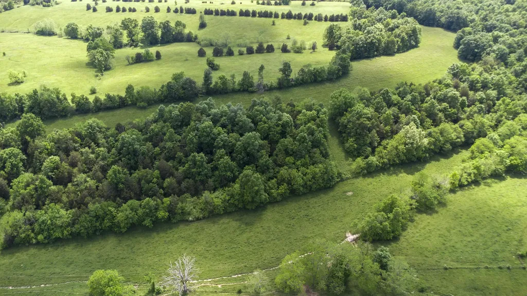850 W Gardner Road Cynthiana KY 41031
