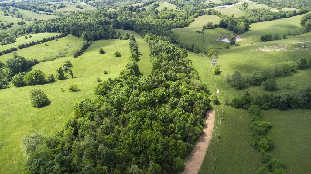 850 W Gardner Road Cynthiana KY 41031