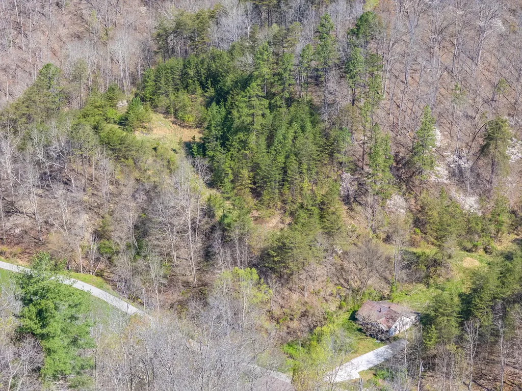421 Stinson Branch Road West Liberty KY 41472