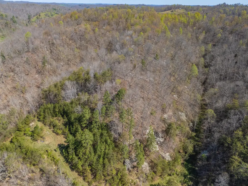 421 Stinson Branch Road West Liberty KY 41472